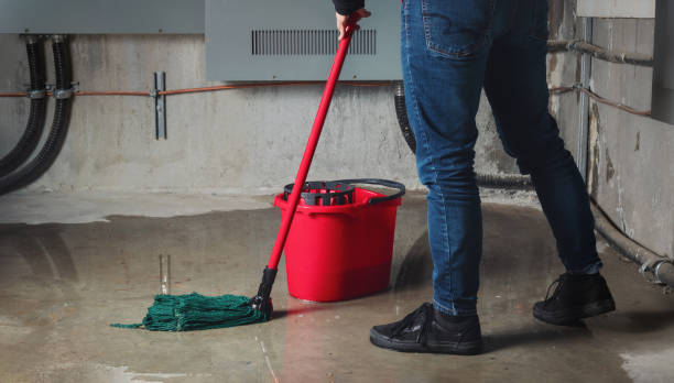 Best Water damage contractors near me  in Emah, OK